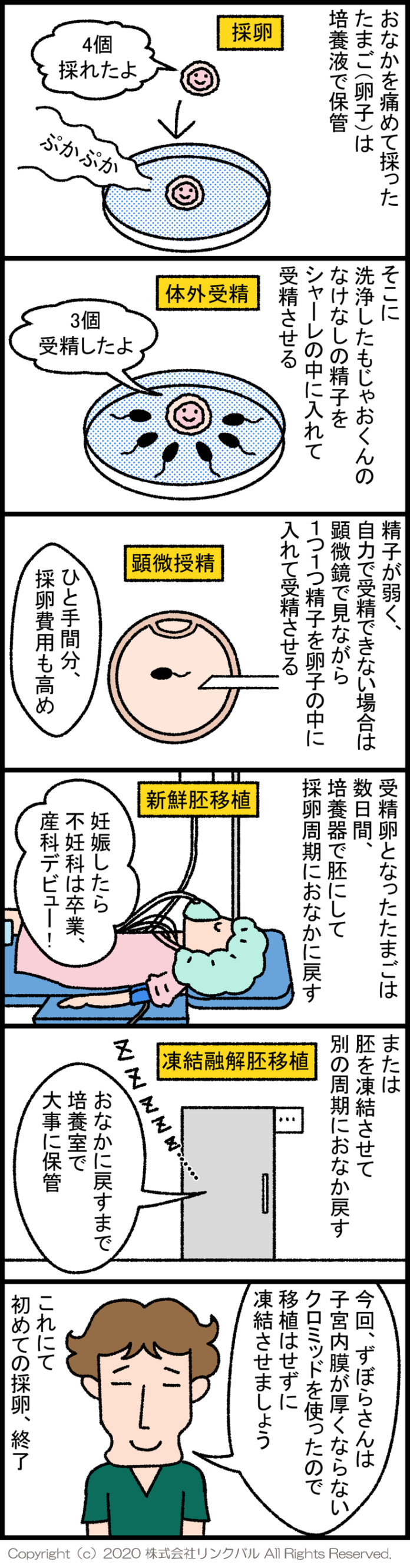 【妊活漫画】アラフォーずぼらの妊活は突然に ～第19話～