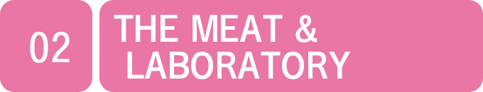 THE MEAT & LABORATORY