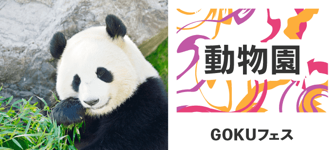 【東京都上野の体験コン・アクティビティー】GOKUフェス主催 2019年7月20日
