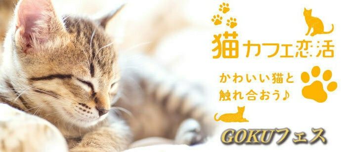 【東京都池袋の体験コン・アクティビティー】GOKUフェス主催 2020年3月14日