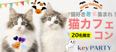 東京都の 猫 にゃんこ好きイベント特集一覧 街コンジャパン 全国の街コン公式サイト