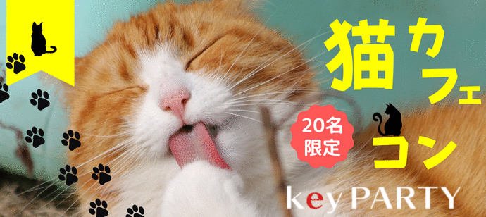 【東京都新宿の体験コン・アクティビティー】key PARTY主催 2023年6月10日